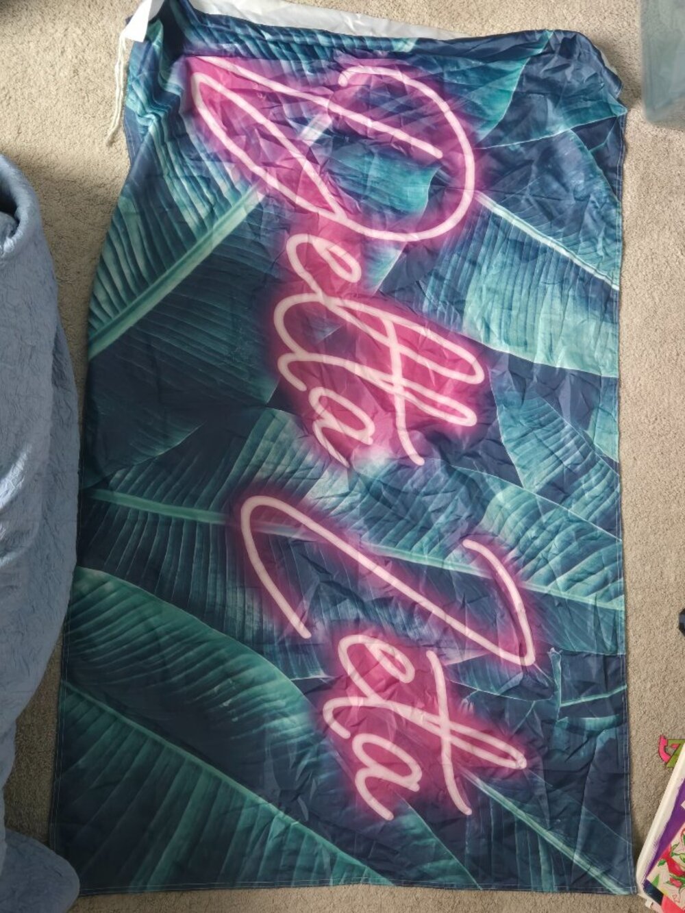 Delta Zeta flag